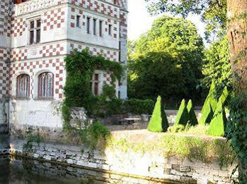 Chateau Des Reaux Chouzé-sur-Loire Buitenkant foto