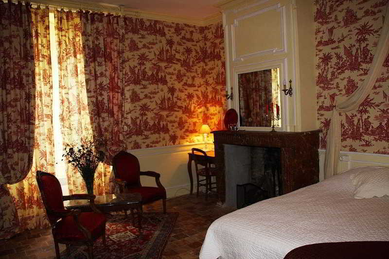 Chateau Des Reaux Chouzé-sur-Loire Buitenkant foto